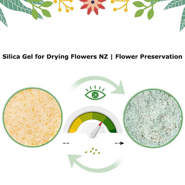 Promotional graphic for 'Silica Gel for Drying Flowers NZ | Flower Preservation' showing two circular close-ups of silica gel texture, a central moisture-meter style icon with an eye symbol, and small dried flower parts, on a white background with decorative floral graphics at the top.