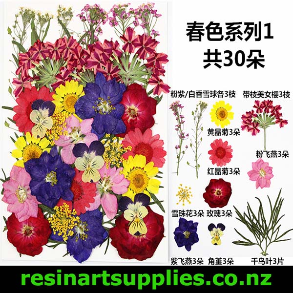 Dried Flowers For Resin