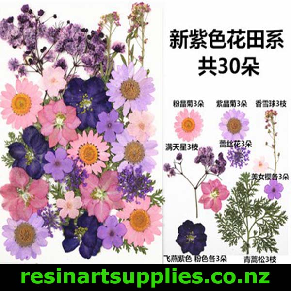Dried Pink Flowers