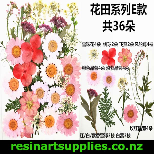 Dried Pink, Red, White, Flowers