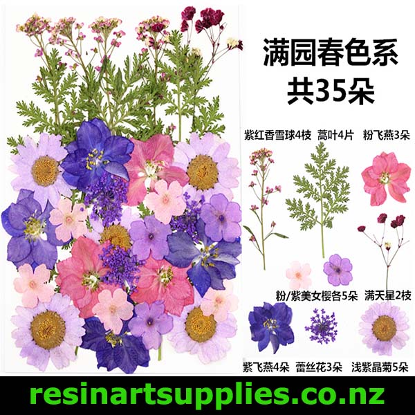 Dried Pink, Violet, Blue Flowers