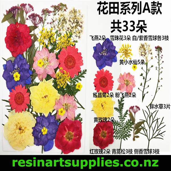 Dried Red, Yellow, Blue Flowers